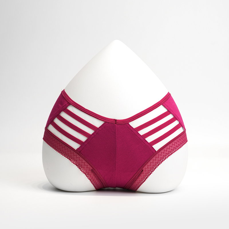 Sexy Slips der Frauu